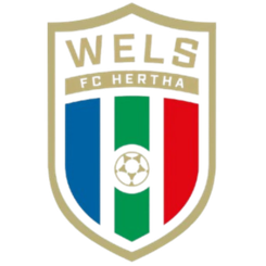 维也纳快速
